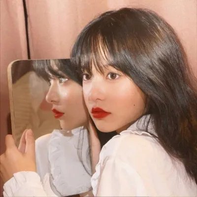 白莲花